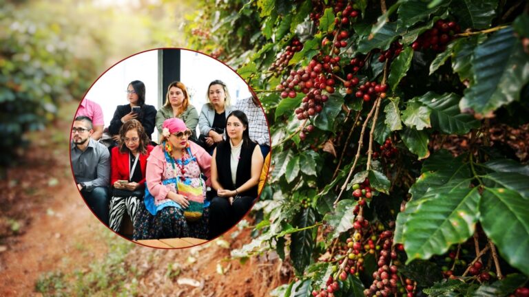 La Gobernación de Antioquia lanza el Catálogo de Turismo Cafetero “Aroma entre Montañas”